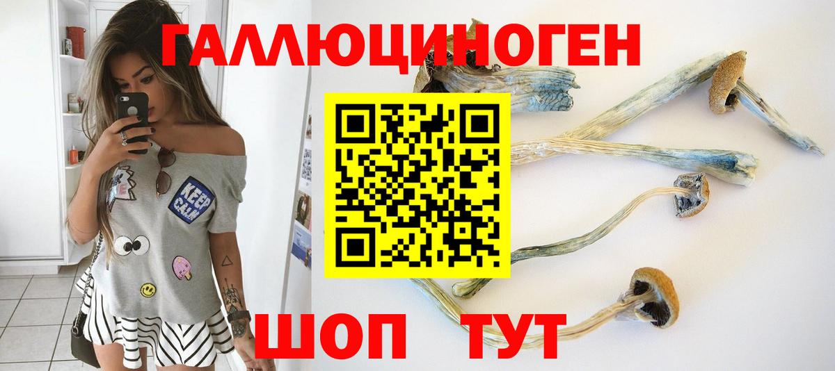 Пыть-Ях  Галлюциногенные грибы прущие грибы  Вход с VPN 